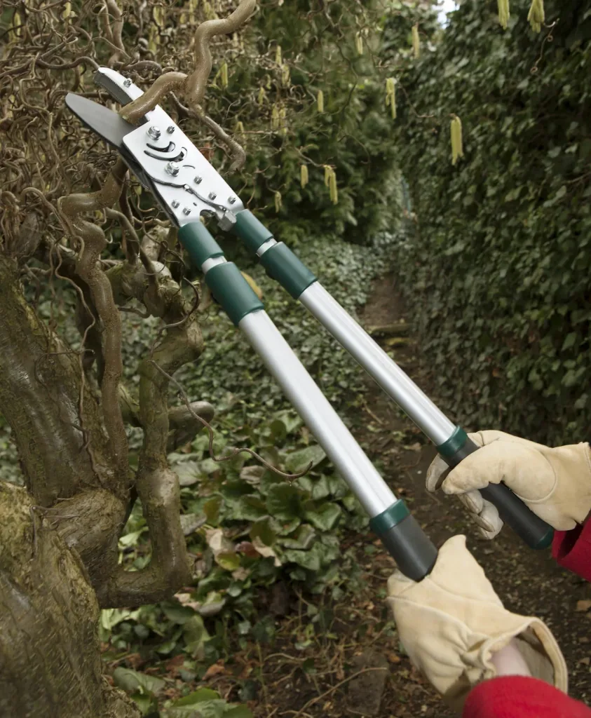 Amboss Astratschenschere mit Teleskopgriff, 50 mm Schnittstärke Gratis dazu Rostlöser