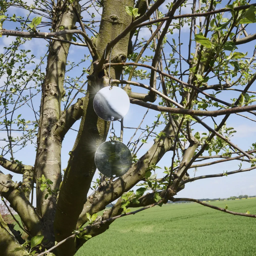 Vogelfrei