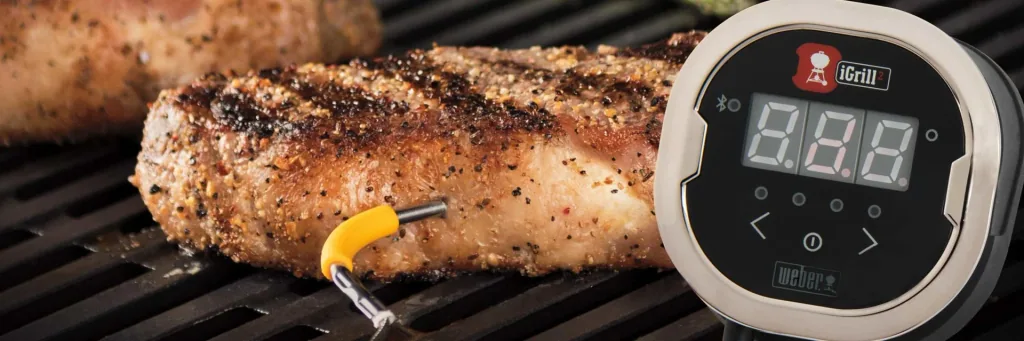 Thermometer iGrill 2 mit zwei Messfühlern