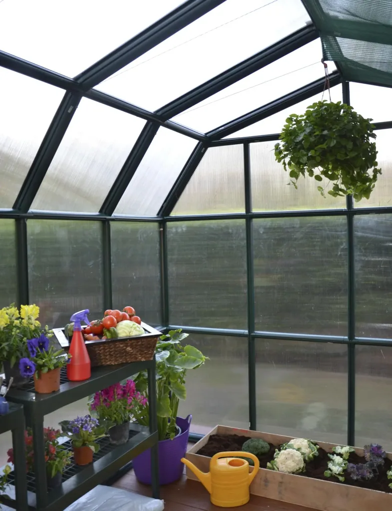 Kunststoff Gewächshaus Grand Gardener 44, 267 x 264 x 238 cm