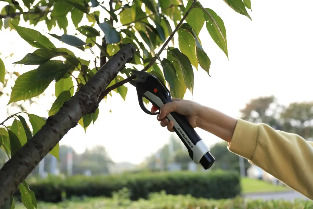 LS V14 4V Vita Bypass-/Gartenschere