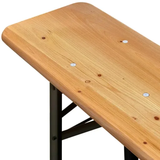 Biertisch und Bank - Holz 1,7m