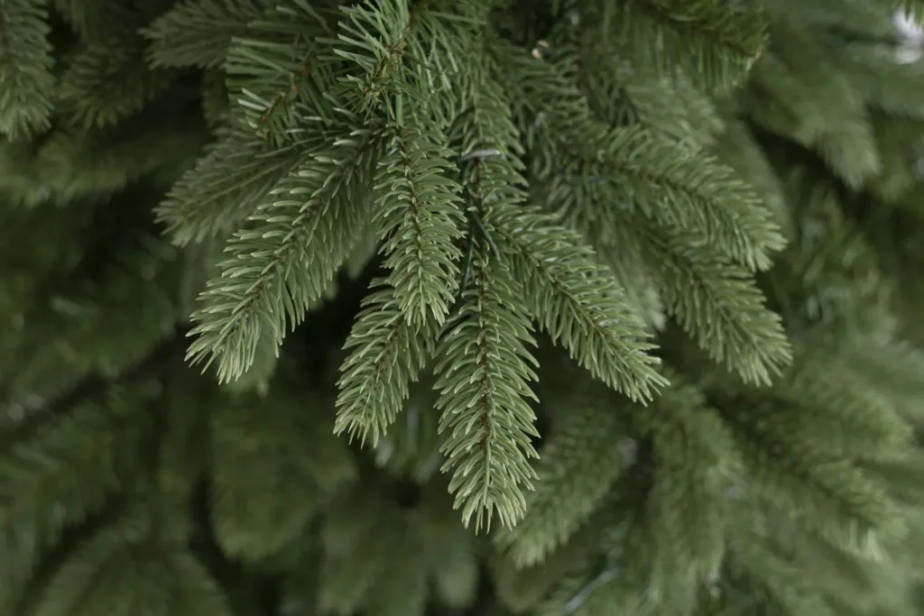 Weihnachtsbaum Roswell Kiefer 210 cm