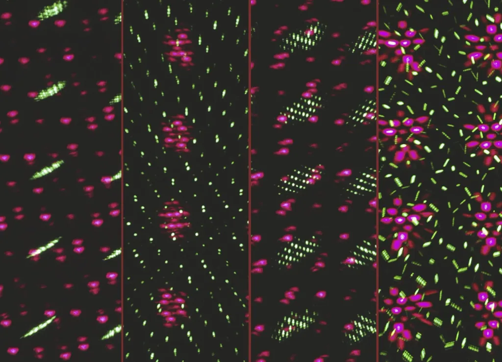 Bewegtes Laserlicht-System Star Shower Motion mit Sensor