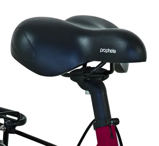 Unisex Alu Rad-Roller 3in1, Fahrrad - E-Bike - E-Roller, 26 Zoll, Rahmenhöhe 46 cm,3 Gang Nabenschaltung, City Comfort