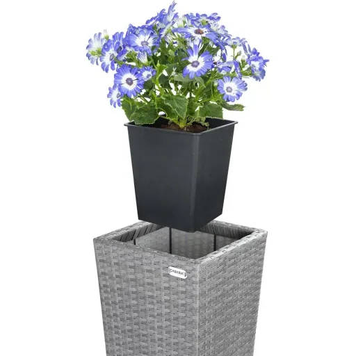 Blumentöpfe - 3 Stück - Polyrattan