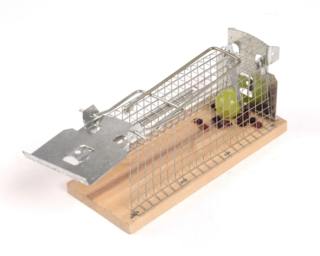 Maus Lebendfalle Käfig