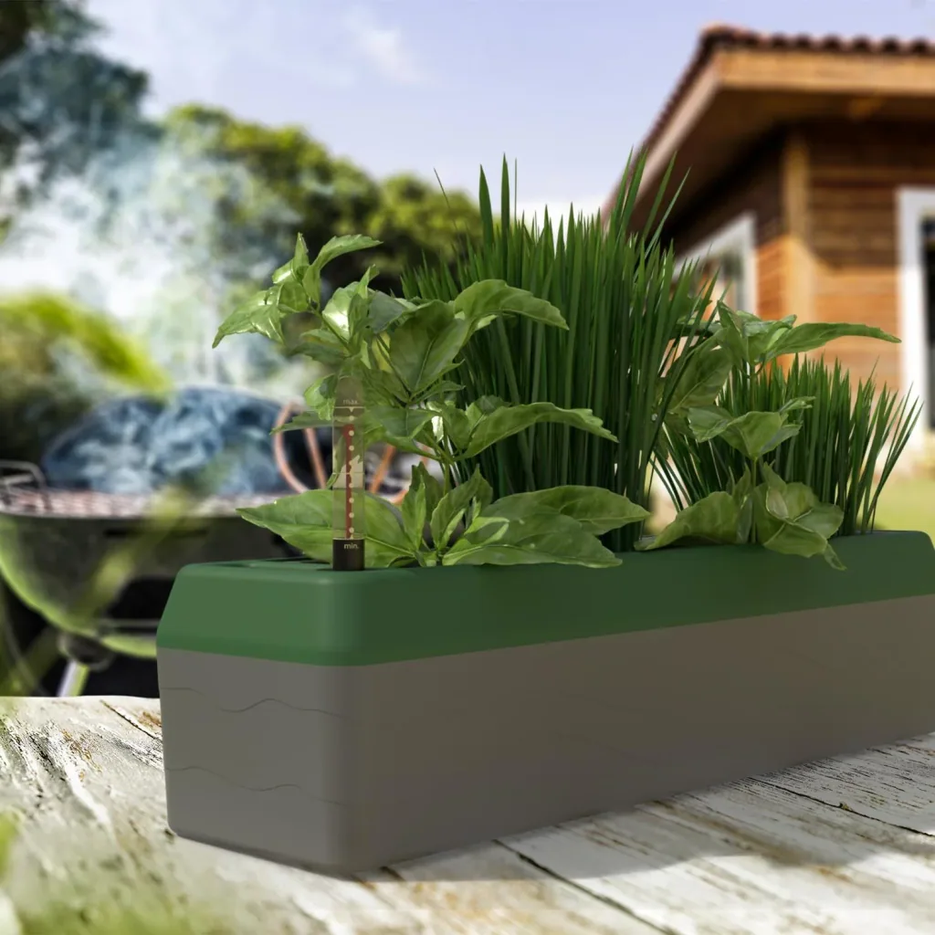 Kräuterbox "Provence"