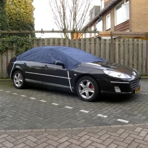 Halbgarage Polyester M 248x160x33cm
