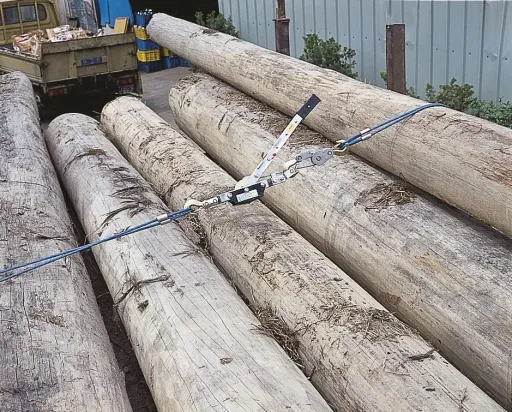 Seilzug mit Ratsche 4 Tonnen