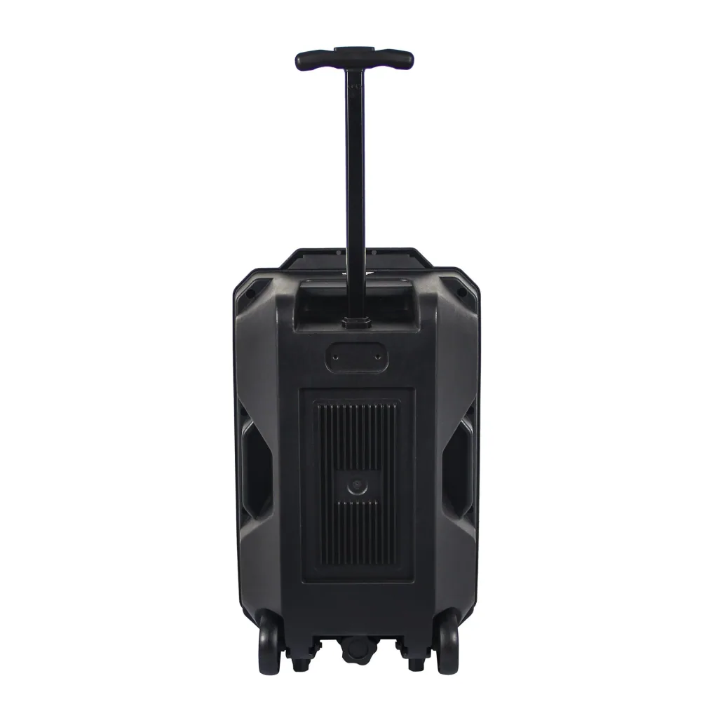 Portabler Lautsprecher mit LED Licht, Karaoke-Mikrofon und Bluetooth