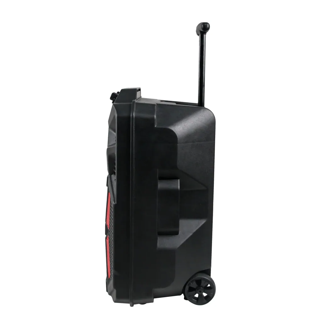 Portabler Lautsprecher mit LED Licht, Karaoke-Mikrofon und Bluetooth