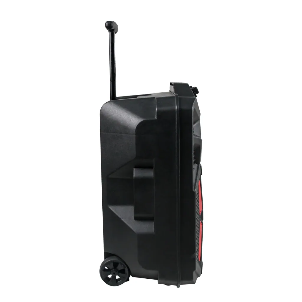 Portabler Lautsprecher mit LED Licht, Karaoke-Mikrofon und Bluetooth