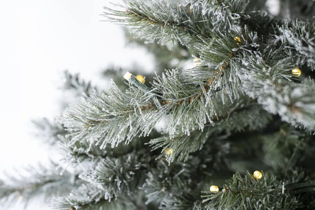 Weihnachtsbaum Fichte Frost 180 cm