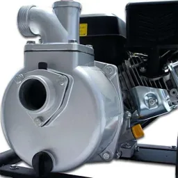 Wasserpumpe 50 MM (2") mit 163 ccm Benzinmotor