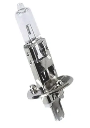 Halogen Birne H1 55W 12V