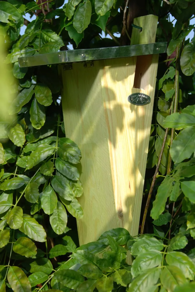 Gartenbaumläufer Nistkasten