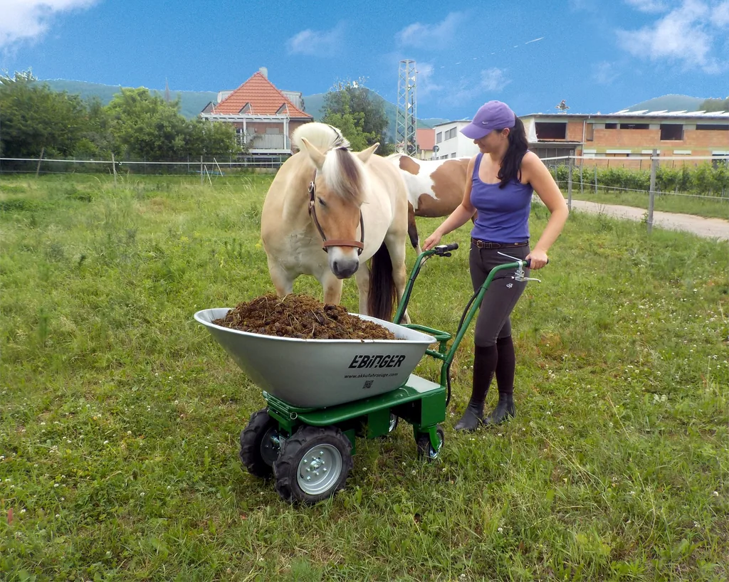 Elektroschubkarre Donkey Plus mit Li-Ionen Akku