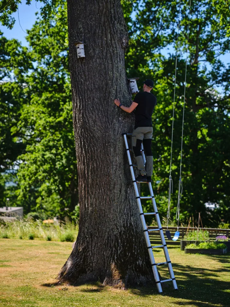 Teleskop-Anlegeleiter, AHW -Compastep XL ,3,8 Meter, mit Stabilisator