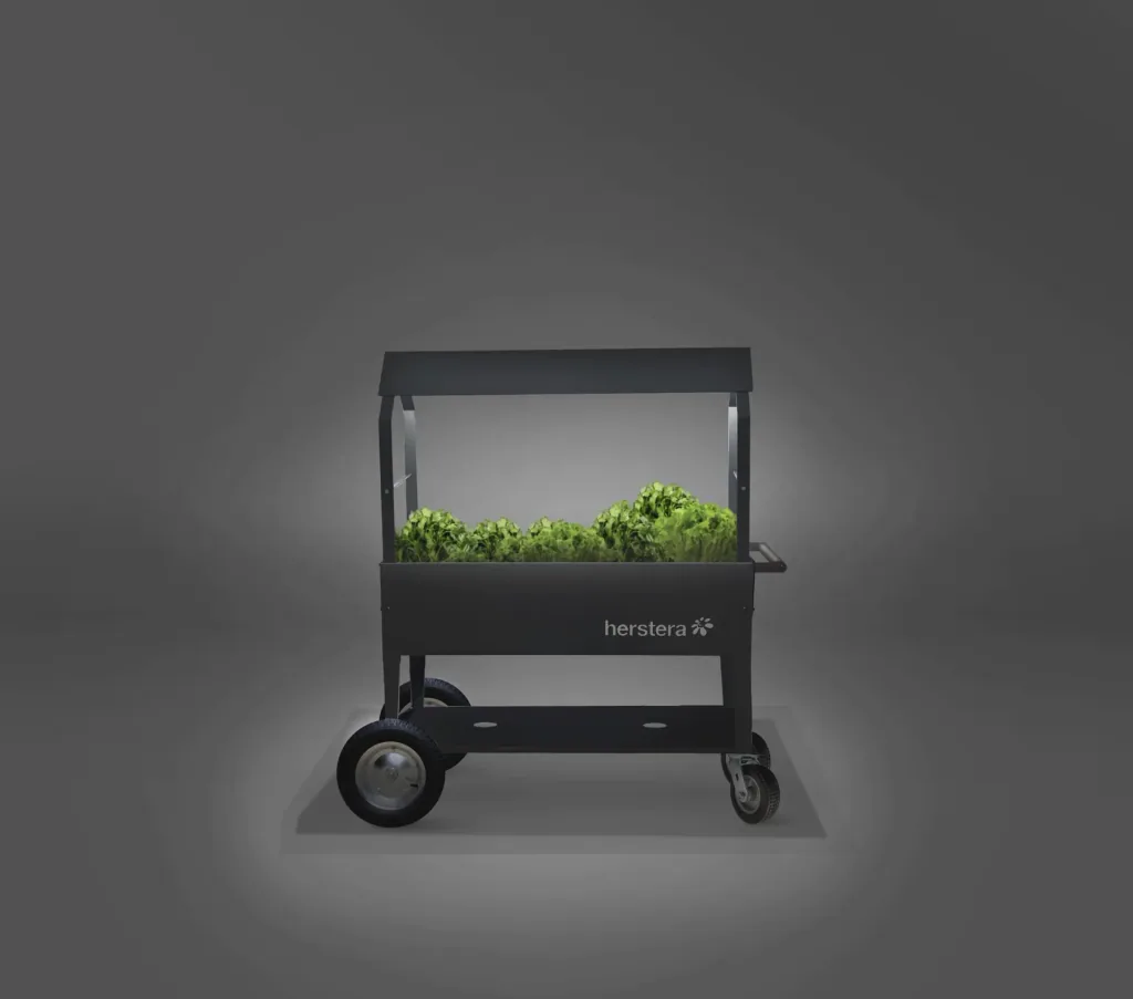 Kräuterfabrik Überdachung Swivel anthrazit, 120x60x93 cm